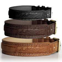 Load image into Gallery viewer, SALE MILK AND PEPPER COLLAR AND LEAD HOGAN CAMEL/BLACK/BROWN
