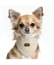 Load image into Gallery viewer, Milk &amp; Pepper Jabali Bandana
