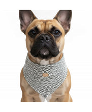 Load image into Gallery viewer, Milk &amp; Pepper Jabali Bandana
