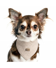 Load image into Gallery viewer, Milk &amp; Pepper Kimi Bandana
