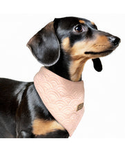 Load image into Gallery viewer, Milk &amp; Pepper Kimi Bandana
