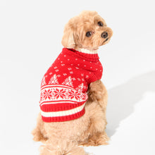 Load image into Gallery viewer, PUPPIA NEVIS CHRISTMAS SWEATER
