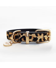 Load image into Gallery viewer, MILK AND PEPPER Leather Collar Leopard Design
