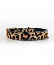 Load image into Gallery viewer, MILK AND PEPPER Leather Collar Leopard Design
