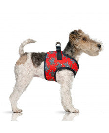 Milk & Pepper  MANAHAU Red Harness