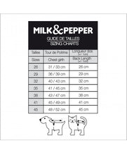 Load image into Gallery viewer, MILK AND PEPPER Nikko T-shirt
