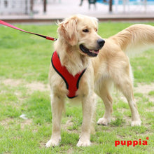 Load image into Gallery viewer, PUPPIA SOFT HARNESS
