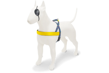 Load image into Gallery viewer, MORSO COLOR INVADERS Norwegian Harness
