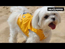Load and play video in Gallery viewer, Milk &amp; Pepper Tribord bulldog raincoat
