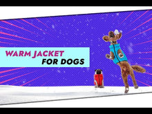 Load and play video in Gallery viewer, WAUDOG AIRY VEST  World&#39;s Lightest Warm Jacket For Dogs
