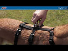 Load and play video in Gallery viewer, TRIXIE Stay harness
