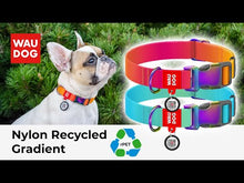 Load and play video in Gallery viewer, WAUDOG recycled Nylon dog collar with QR code
