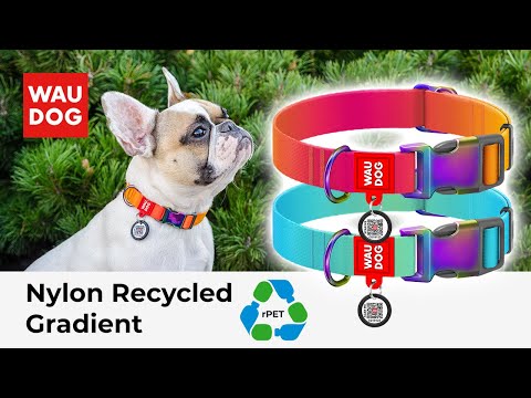 WAUDOG recycled Nylon dog collar with QR code