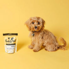 Load image into Gallery viewer, POOCH AND MUTT SKIN &amp; COAT PROBIOTIC MEATY TREATS
