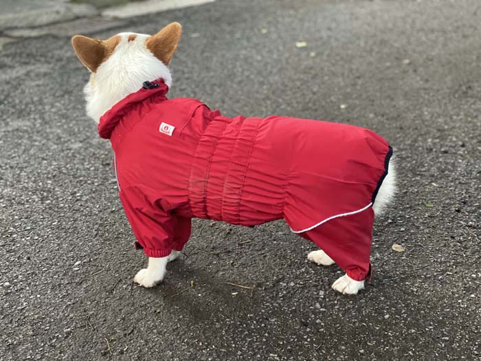 LOVE LONG LONG  Dog waterproof suit