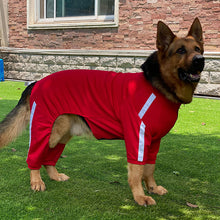 Load image into Gallery viewer, Dog Sweatshirt Zipper Dog Sport Suit
