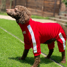 Load image into Gallery viewer, Dog Sweatshirt Zipper Dog Sport Suit
