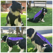 Load image into Gallery viewer, Windproof Dog Jacket
