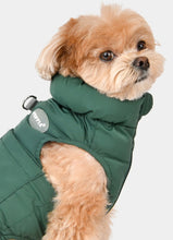 Load image into Gallery viewer, Puppia Puffer Vest Harness Jumper Green/Brown
