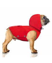 Load image into Gallery viewer, Milk &amp; Pepper Tribord bulldog raincoat
