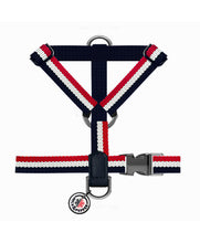 Load image into Gallery viewer, MILK &amp; PEPPER Courchevel H Harness
