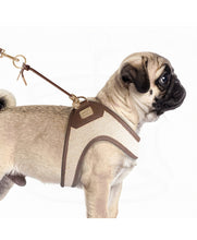 Load image into Gallery viewer, Milk and Pepper Sumatra Harness
