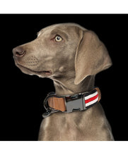 Load image into Gallery viewer, MILK AND PEPPER  Adjustable Heritage Collar
