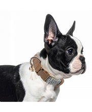 Load image into Gallery viewer, Milk and Pepper Oroko Collar to match Kofi harness
