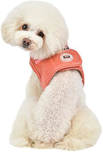 Load image into Gallery viewer, Puppia Corduroy HARNESS with matching lead
