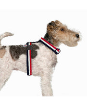 Load image into Gallery viewer, MILK &amp; PEPPER Courchevel H Harness
