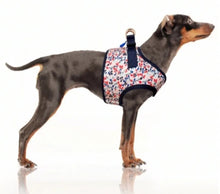 Load image into Gallery viewer, Milk and Pepper Manon Harness
