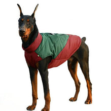 Load image into Gallery viewer, Cherry two tone vest with back zipper for easy wear
