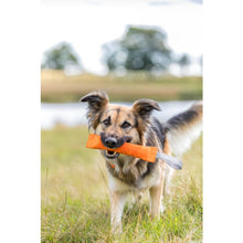 Load image into Gallery viewer, TRIXIE Sporting Training Dummy
