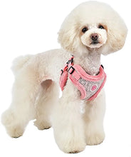 Load image into Gallery viewer, PInkaholic Margeaux HARNESS with matching lead (Copy)
