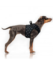 Load image into Gallery viewer, MILK AND PEPPER Chuck Harness
