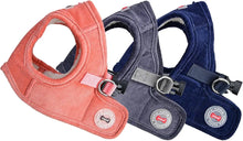 Load image into Gallery viewer, PUPPIA Classy Corduroy Harness and lead
