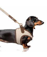 Load image into Gallery viewer, Milk &amp; Pepper Java Harness Beige
