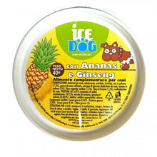 Load image into Gallery viewer, Ice Dog Gelato 40g tub ice cream

