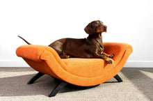 Load image into Gallery viewer, DINGO SOFA BED for Cats and Dogs
