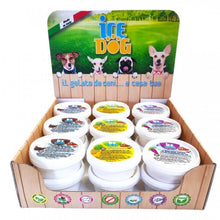 Load image into Gallery viewer, Ice Dog Gelato 40g tub ice cream
