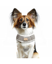 Load image into Gallery viewer, Milk &amp; Pepper Kofi   Crop Harness Black White
