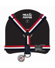 Load image into Gallery viewer, MILK &amp; PEPPER Courchevel H Harness
