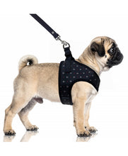 Load image into Gallery viewer, Milk &amp; Pepper Zelig Crop Harness Navy
