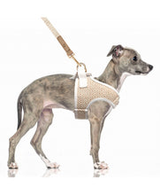 Load image into Gallery viewer, Milk &amp; Pepper Kofi  Crop  Harness Beige White
