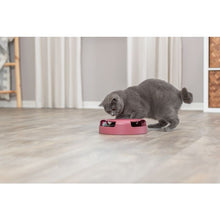Load image into Gallery viewer, Trixie Catch the Mouse
