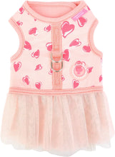 Load image into Gallery viewer, SALE PINKAHOLIC  Lovey harness D with matching lead
