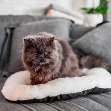Load image into Gallery viewer, FERPLAST Relax 55/4Cushion with fur for Dogs and Cats to fit Siesta 4 Beds
