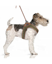 Load image into Gallery viewer, Milk and Pepper Gabin Sling Harness
