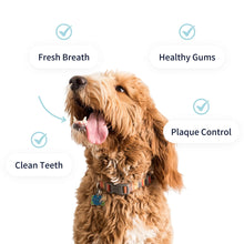 Load image into Gallery viewer, Tipaw Dental Care Powder
