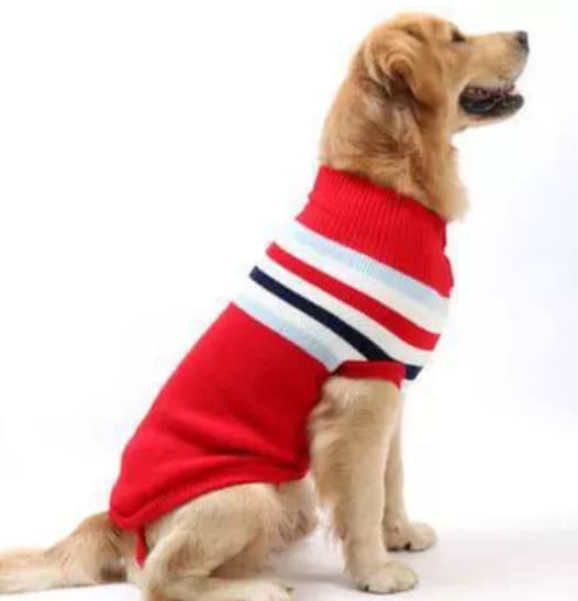 Cherry Striped Knitted Sweater for small, medium and large breeds